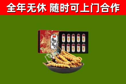 成华回收冬虫夏草价格